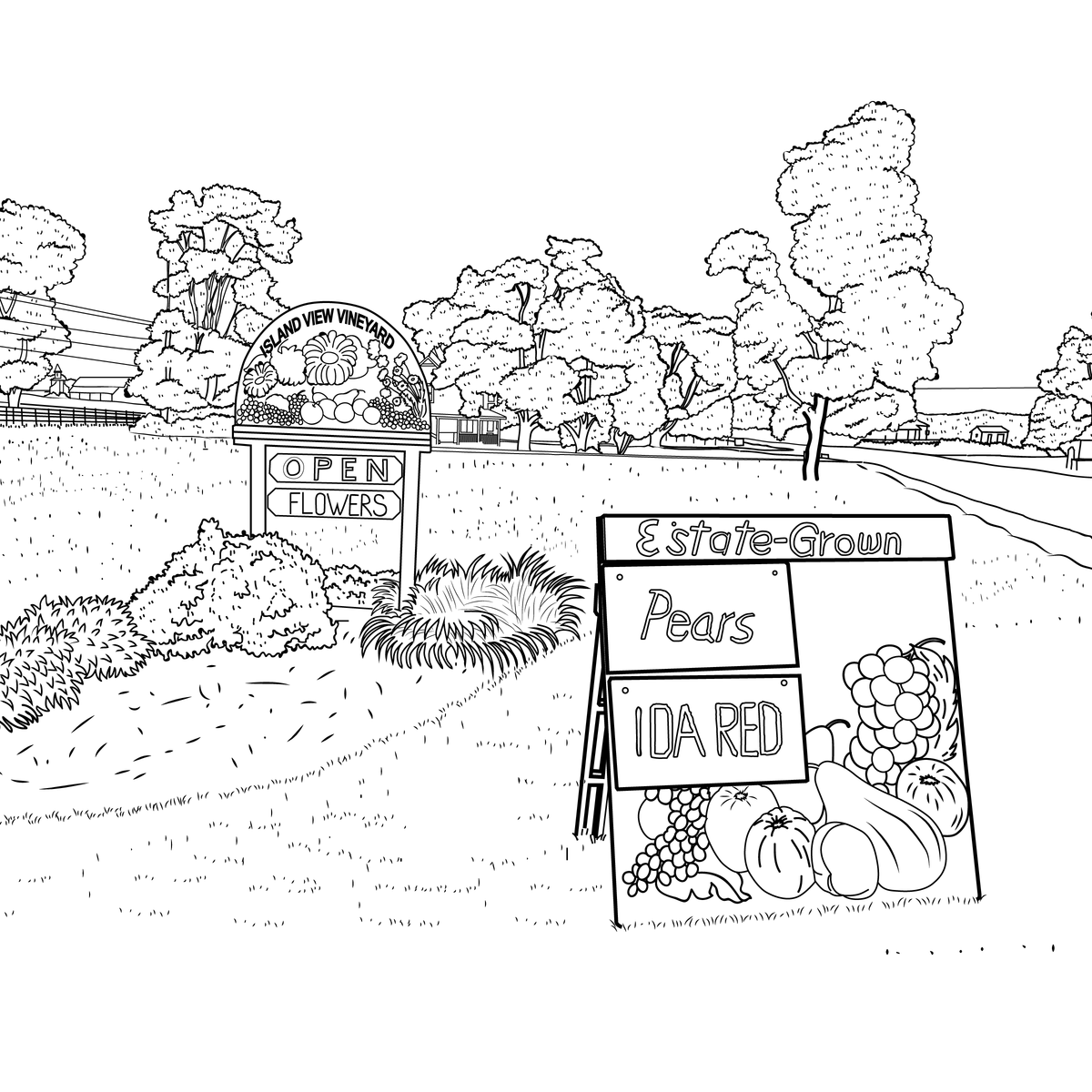 The Old Mission Coloring Book